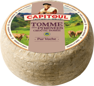 TOMME DES PYRÉNNÉES DORÉE