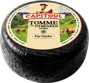 TOMME DES PYRÉNNÉES NOIRE